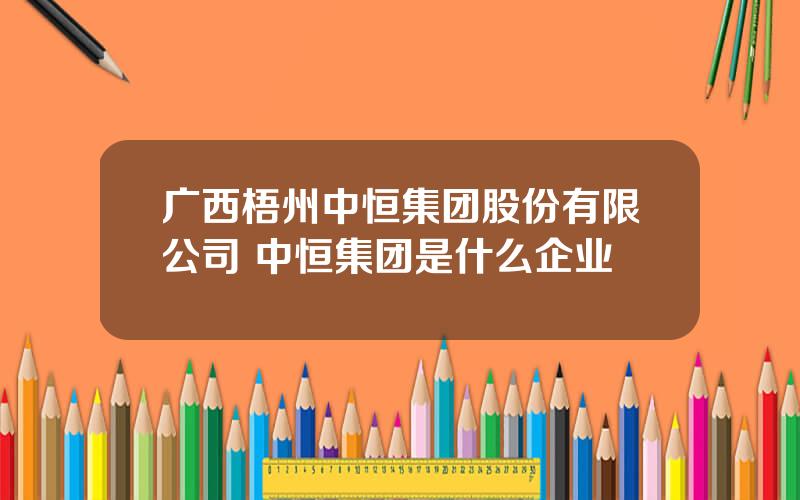 广西梧州中恒集团股份有限公司 中恒集团是什么企业